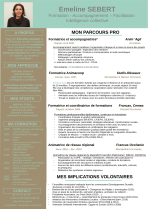 CV2025_1page